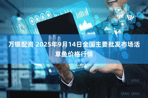 万银配资 2025年9月14日全国主要批发市场活草鱼价格行情