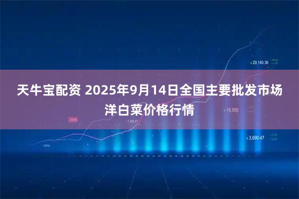天牛宝配资 2025年9月14日全国主要批发市场洋白菜价格行情