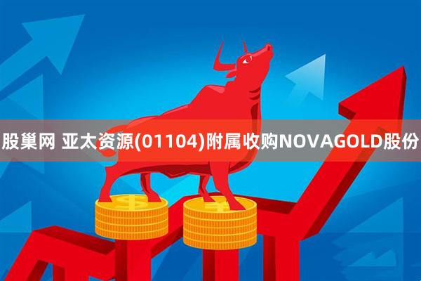 股巢网 亚太资源(01104)附属收购NOVAGOLD股份