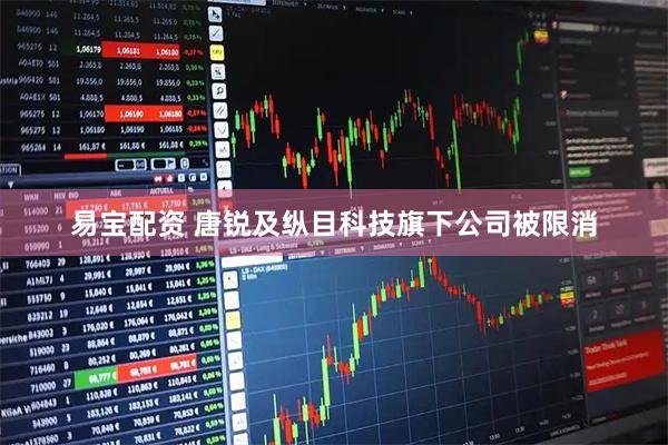 易宝配资 唐锐及纵目科技旗下公司被限消