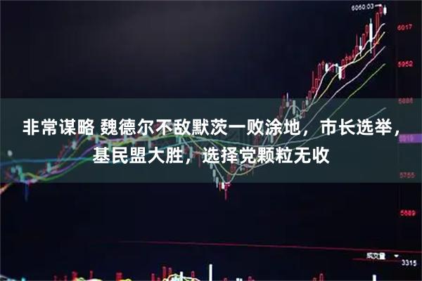 非常谋略 魏德尔不敌默茨一败涂地，市长选举，基民盟大胜，选择党颗粒无收
