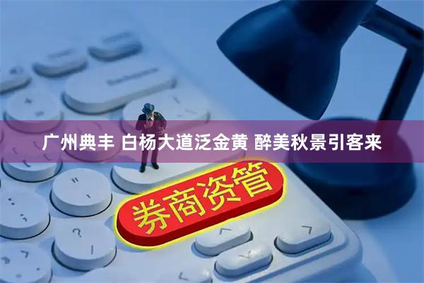 广州典丰 白杨大道泛金黄 醉美秋景引客来