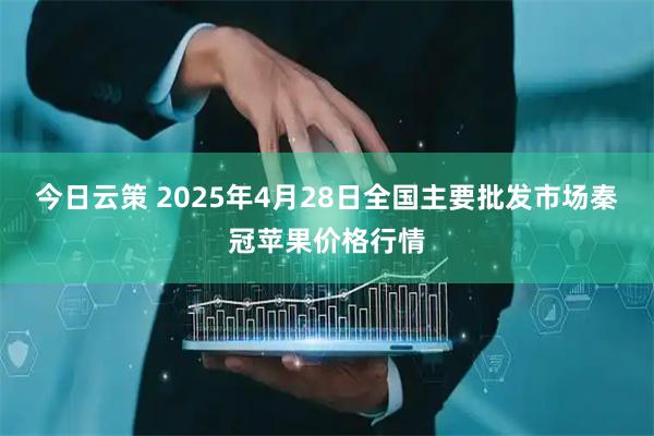 今日云策 2025年4月28日全国主要批发市场秦冠苹果价格行情