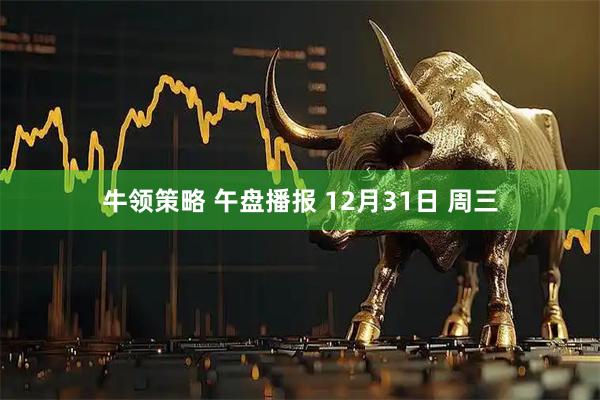 牛领策略 午盘播报 12月31日 周三