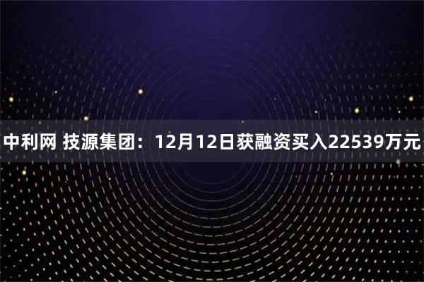 中利网 技源集团：12月12日获融资买入22539万元