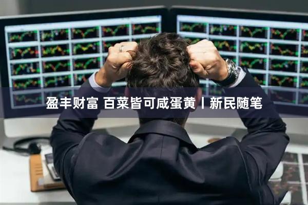 盈丰财富 百菜皆可咸蛋黄丨新民随笔